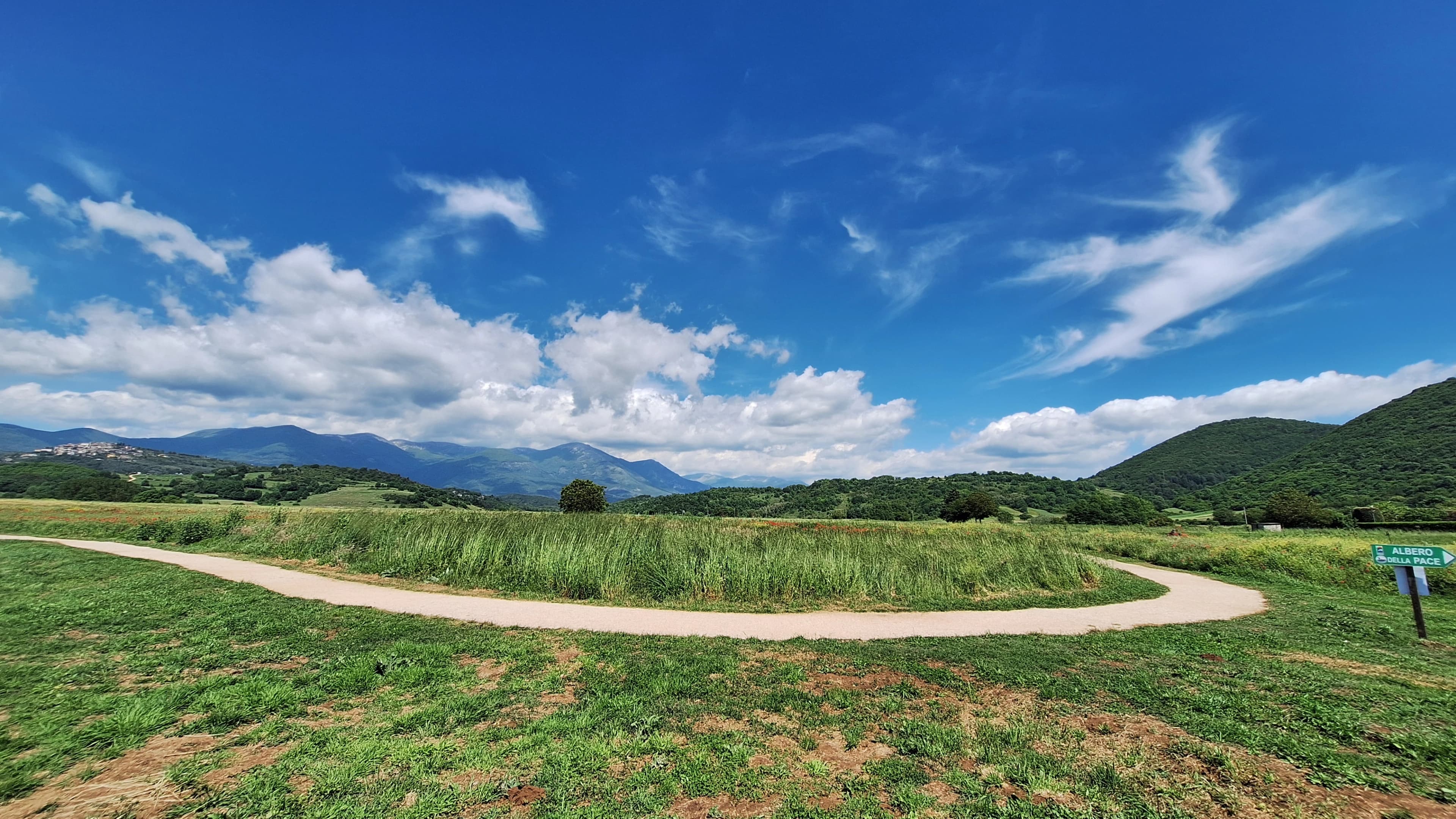 Bike path surrounded by nature near the Bahá’í Study Center for corporate retreats